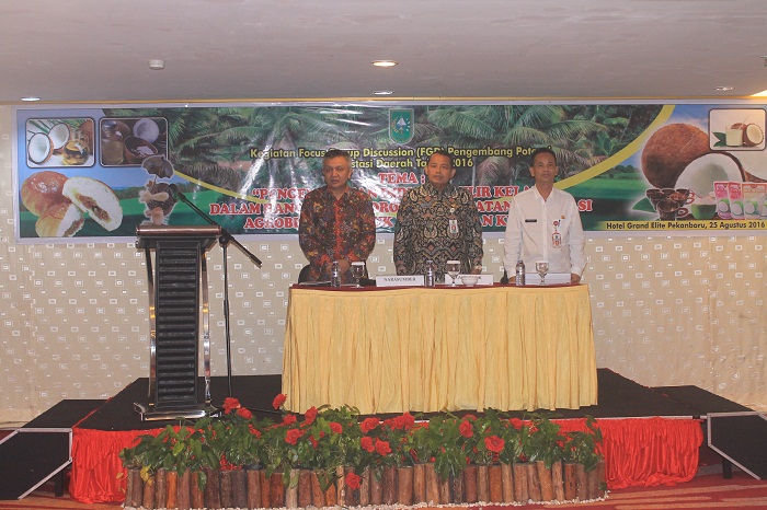 Kegiatan Focus Group Discussion ( FGD ) Pengembang Potensi Investasi Tahun 2016